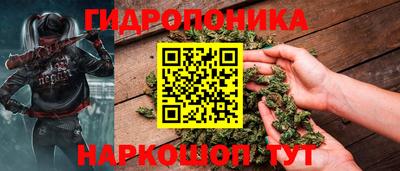 ALPHA PVP Гай