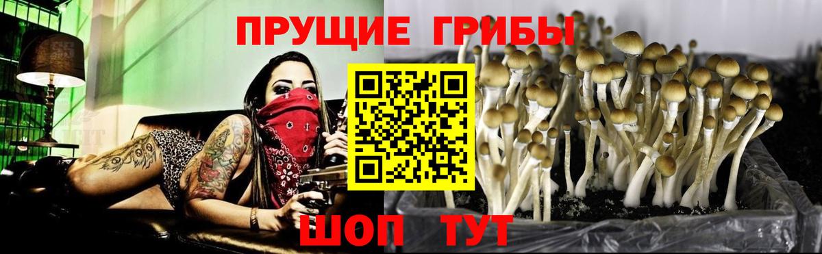 Галлюциногенные грибы Cubensis  Вход с VPN  Донской  Галлюциногенные грибы GOLDEN TEACHER 